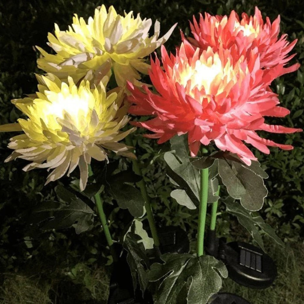 BloomGlow solarbetriebene Gartenlampen – Farbwechselnde LED-Außendekoration