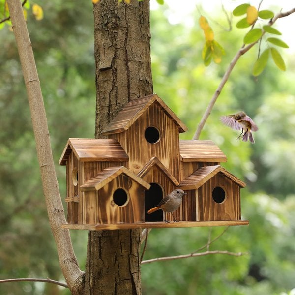 WillowNest funktionelles Holzvogelhaus