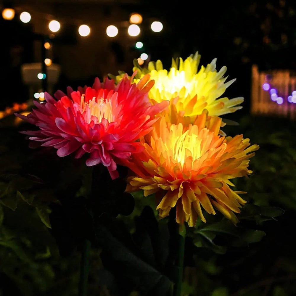 BloomGlow solarbetriebene Gartenlampen – Farbwechselnde LED-Außendekoration