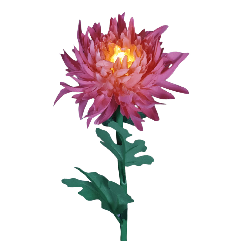 BloomGlow solarbetriebene Gartenlampen – Farbwechselnde LED-Außendekoration