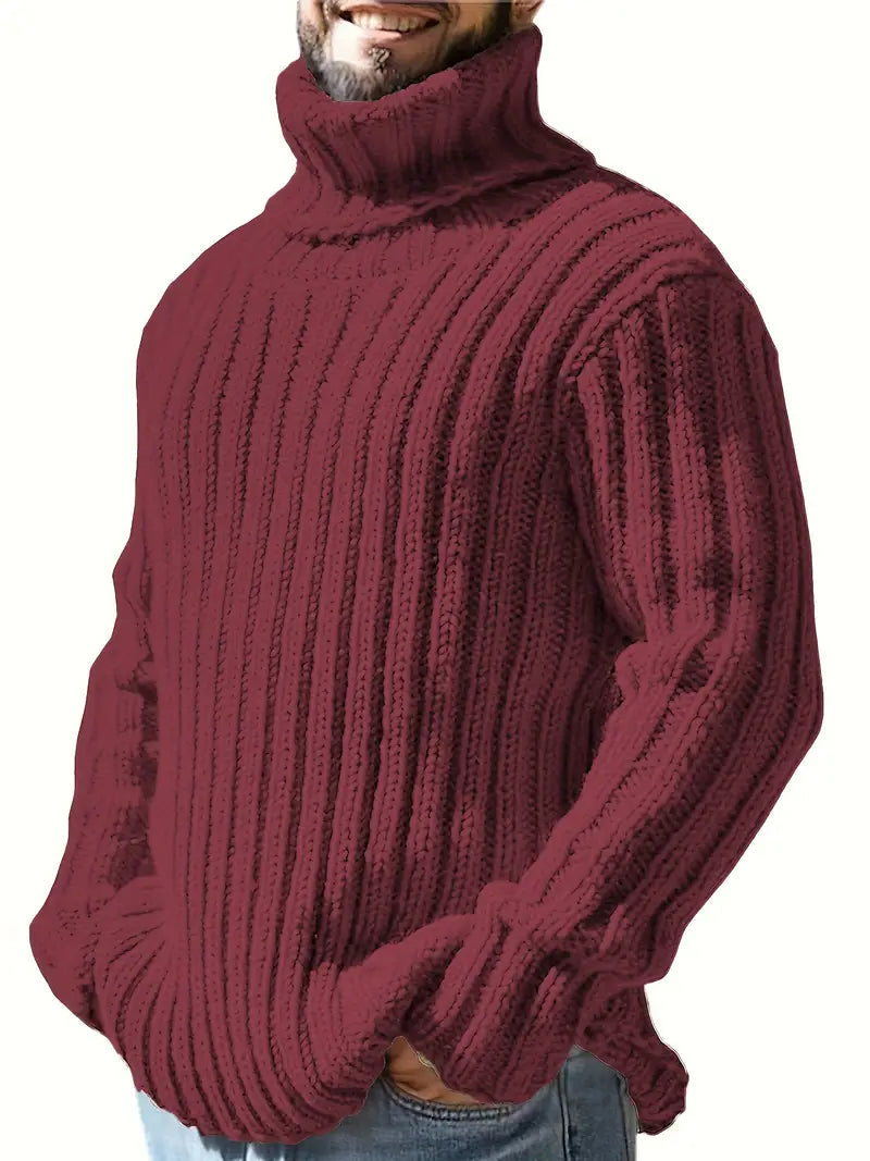 Holger - Tykstrickter Rollkragenpullover