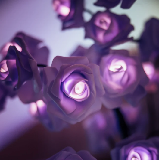 BloomVerve - Strahlende Rosenlampe