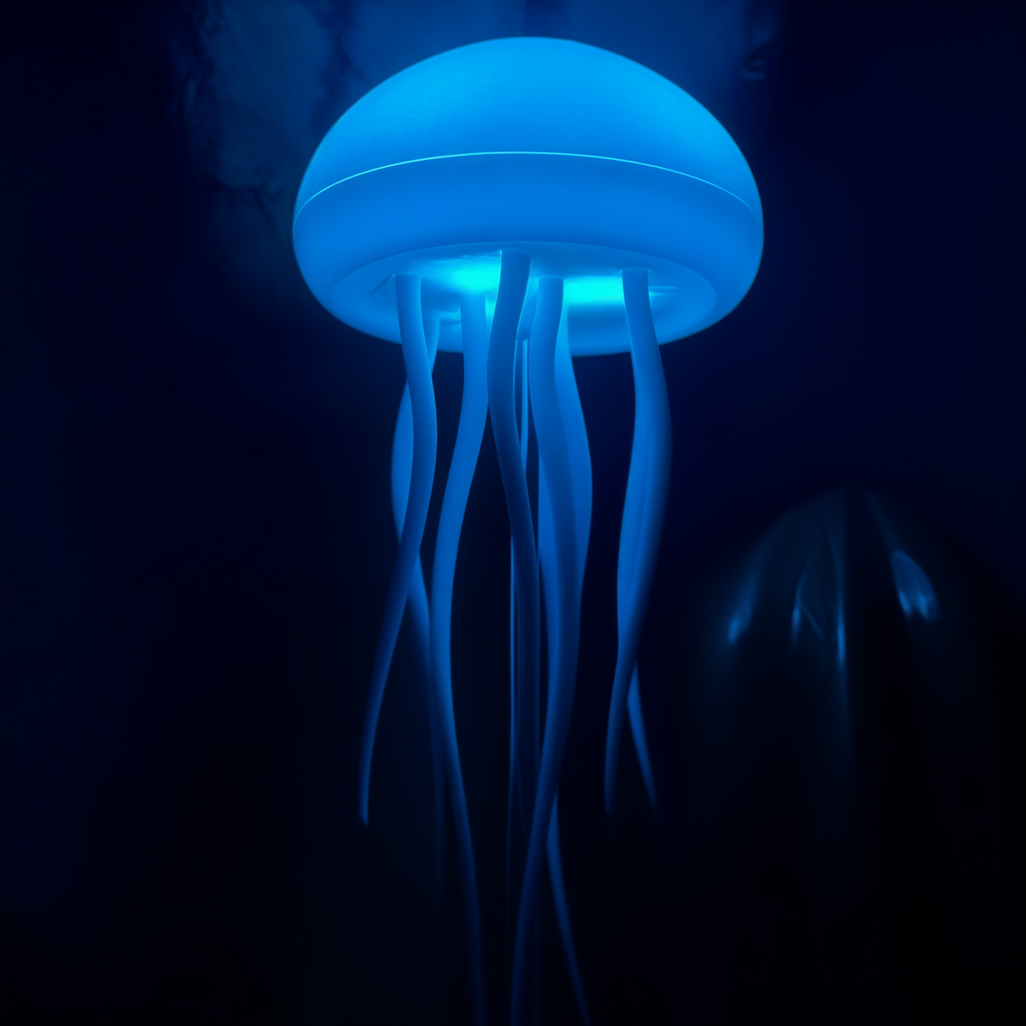 AquaGlow | Lampe mit Tanzenden Quallen