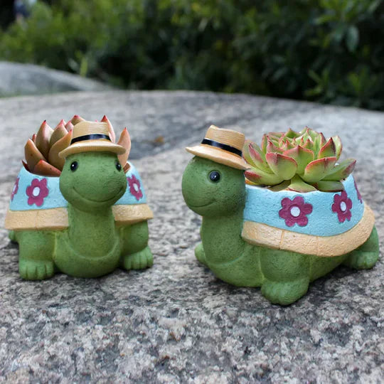 TurtlePot – Verspielte Schildkröte
