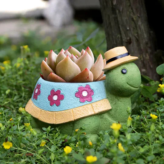 TurtlePot – Verspielte Schildkröte