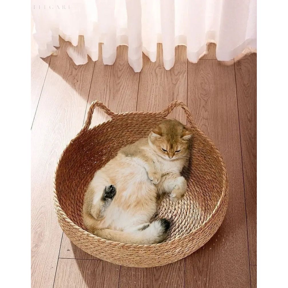 DreamPaws - Das ultimative Komfortbett für Katzen