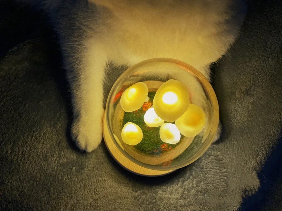 LumiTerra DIY Schwammlicht aus Glas