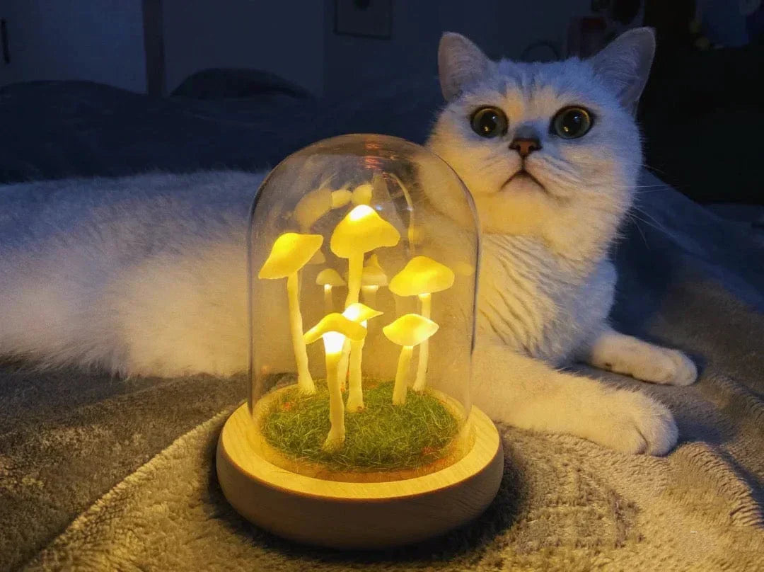 LumiTerra DIY Schwammlicht aus Glas