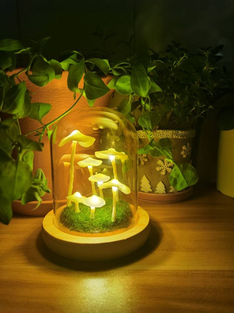 LumiTerra DIY Schwammlicht aus Glas