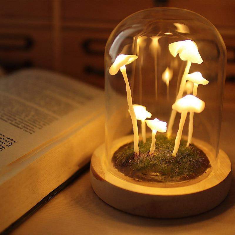 LumiTerra DIY Schwammlicht aus Glas