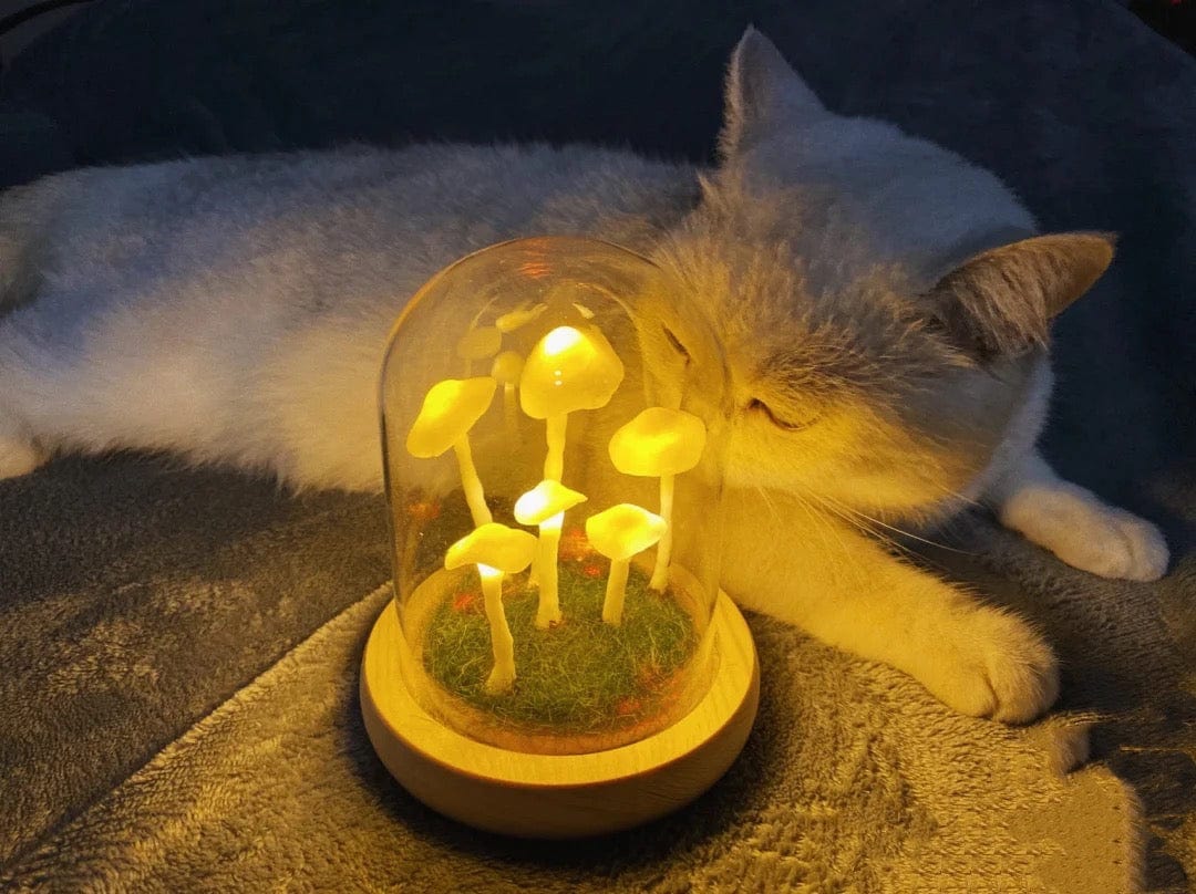 LumiTerra DIY Schwammlicht aus Glas