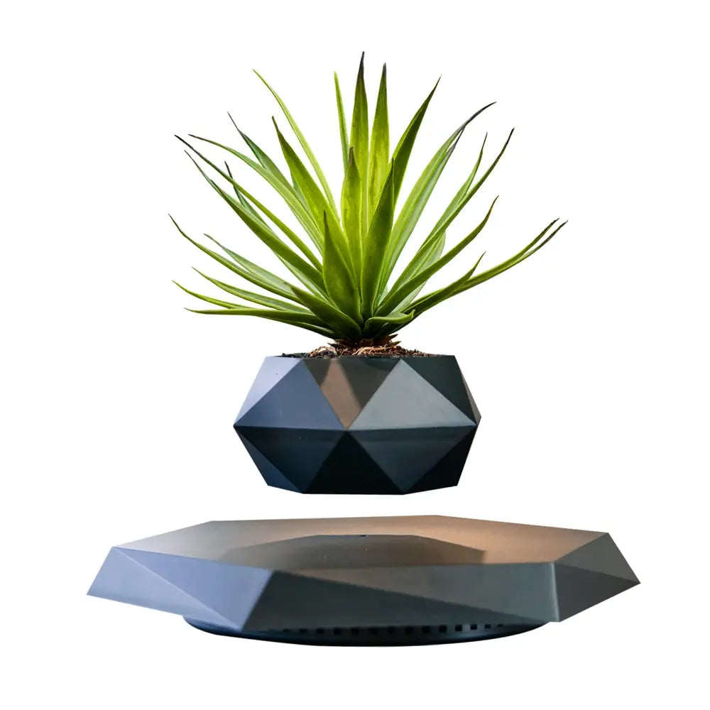 GeoSpin rotierende geometrische Pflanzenbox