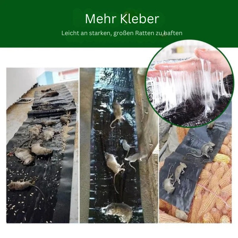 RodentLock Große Klebefalle – Effektive und einfache Schädlingsbekämpfung
