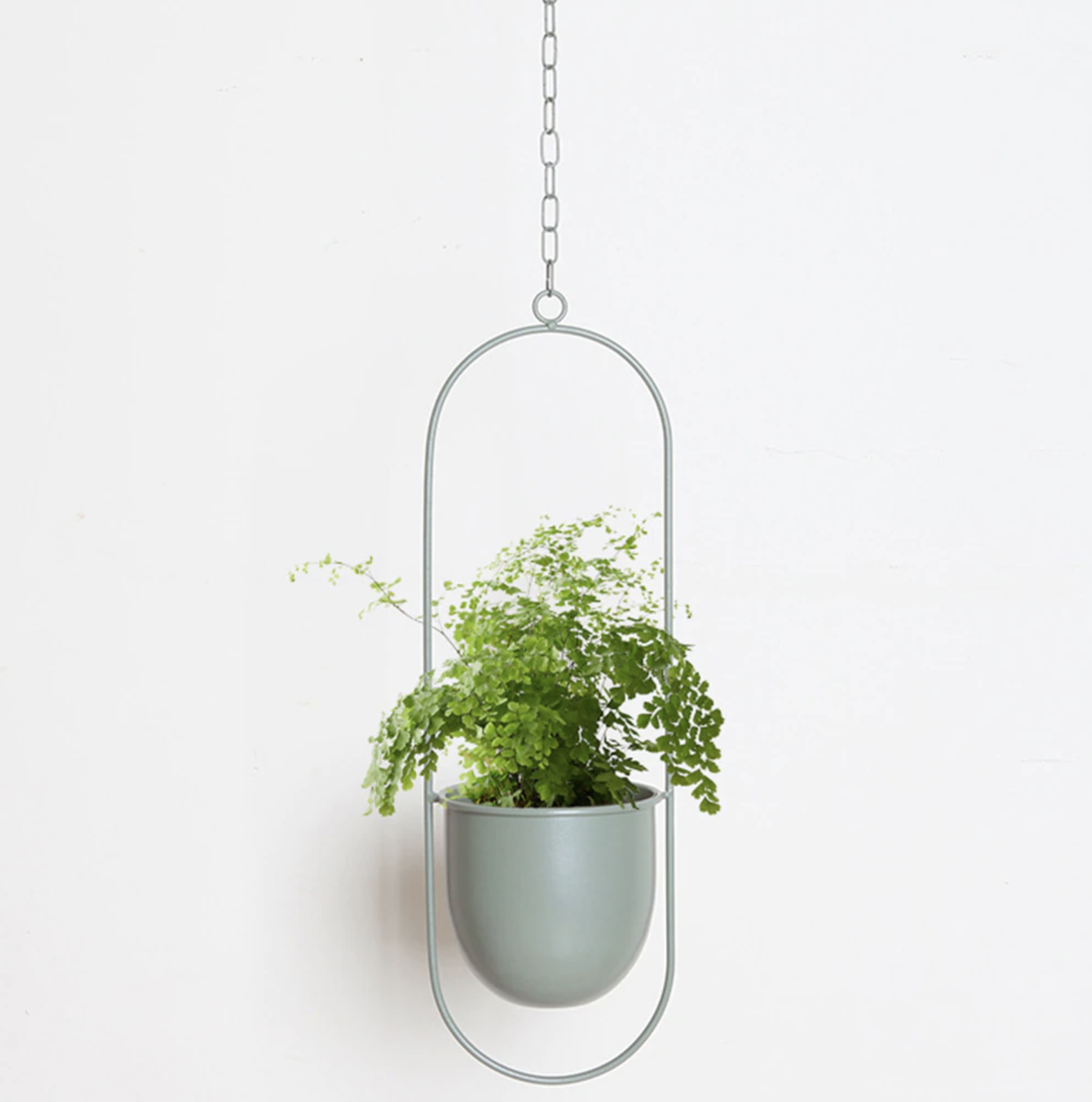 FloraFrame LED botanische Wandkunst