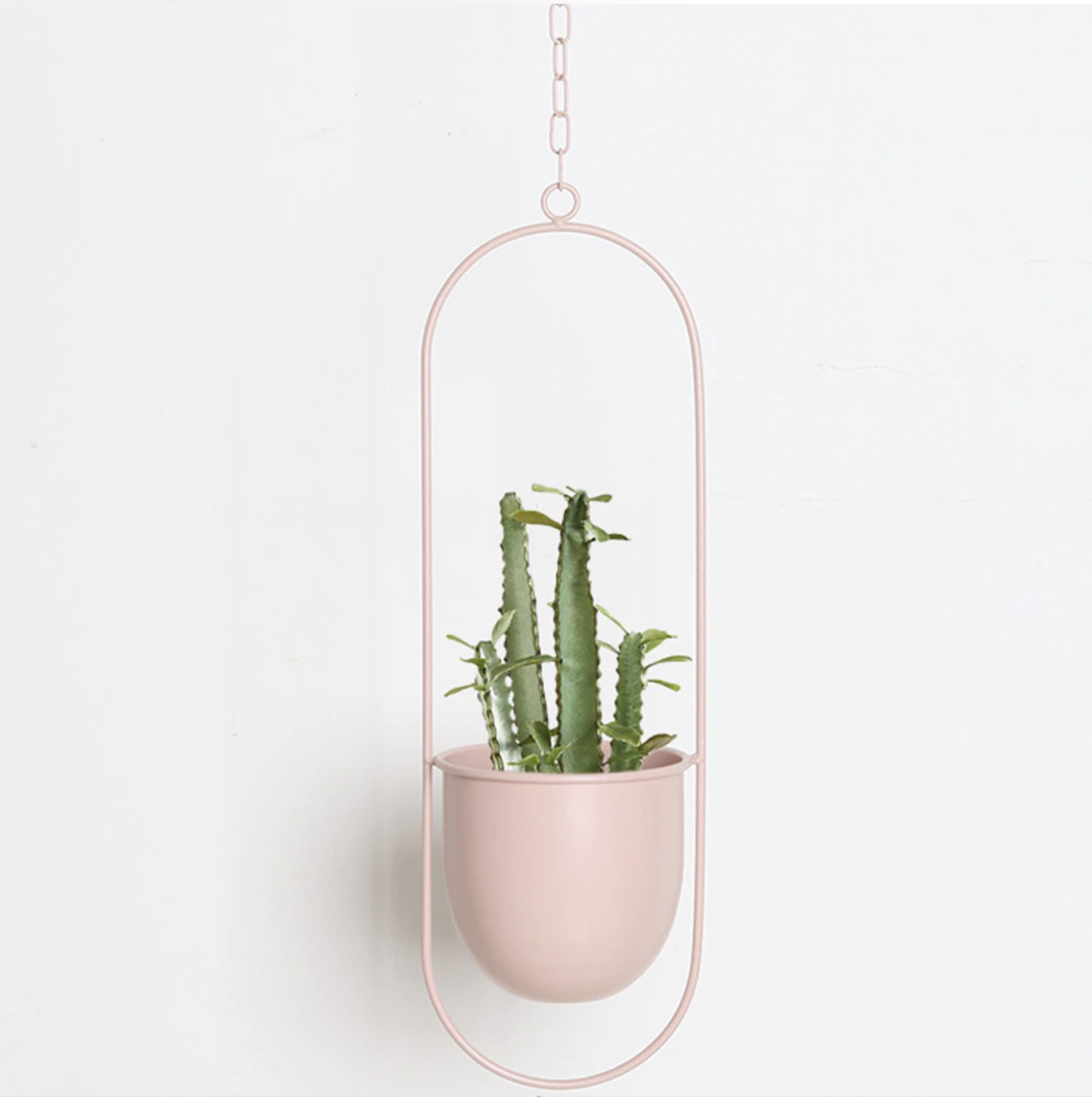 FloraFrame LED botanische Wandkunst