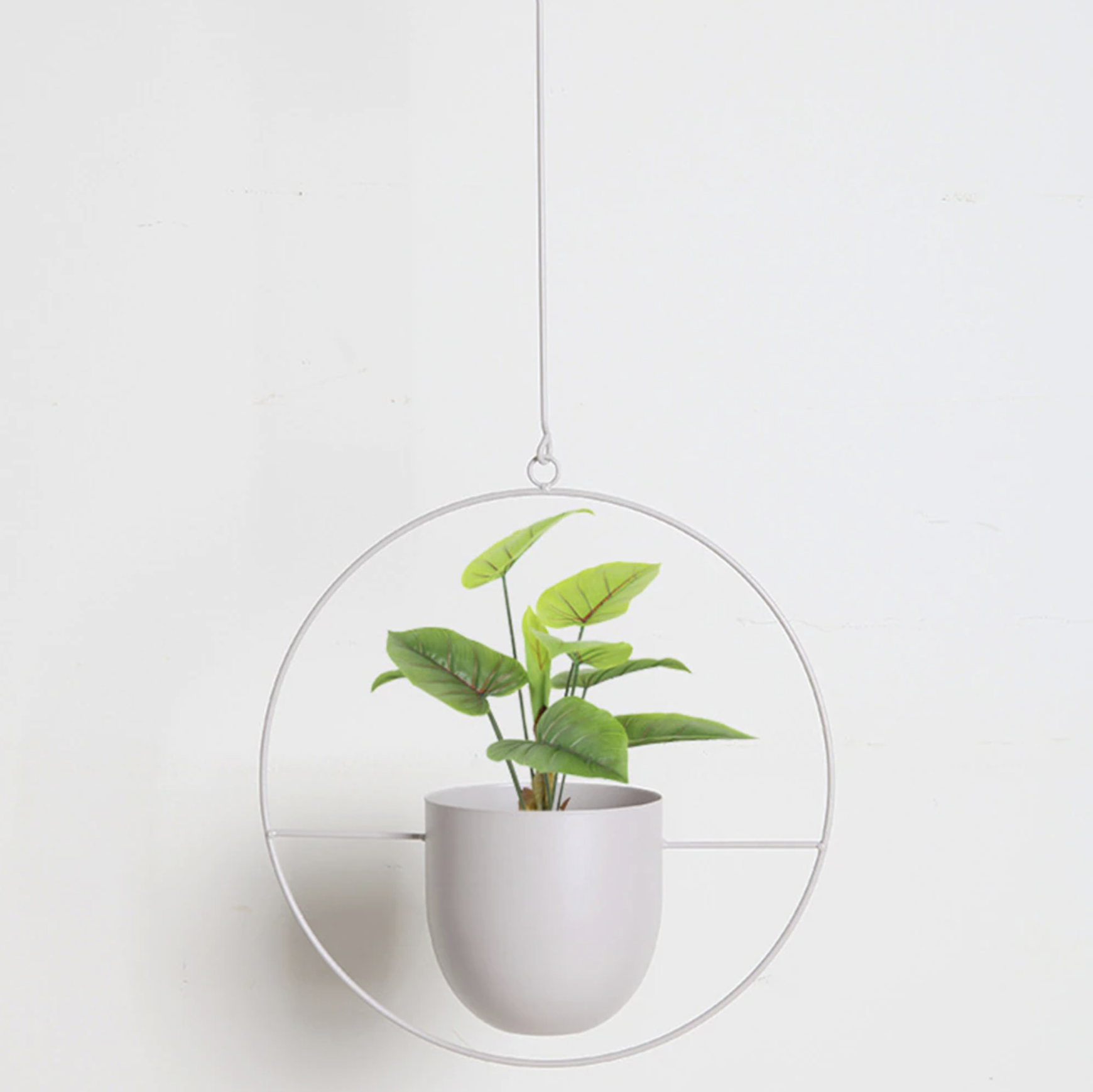 FloraFrame LED botanische Wandkunst