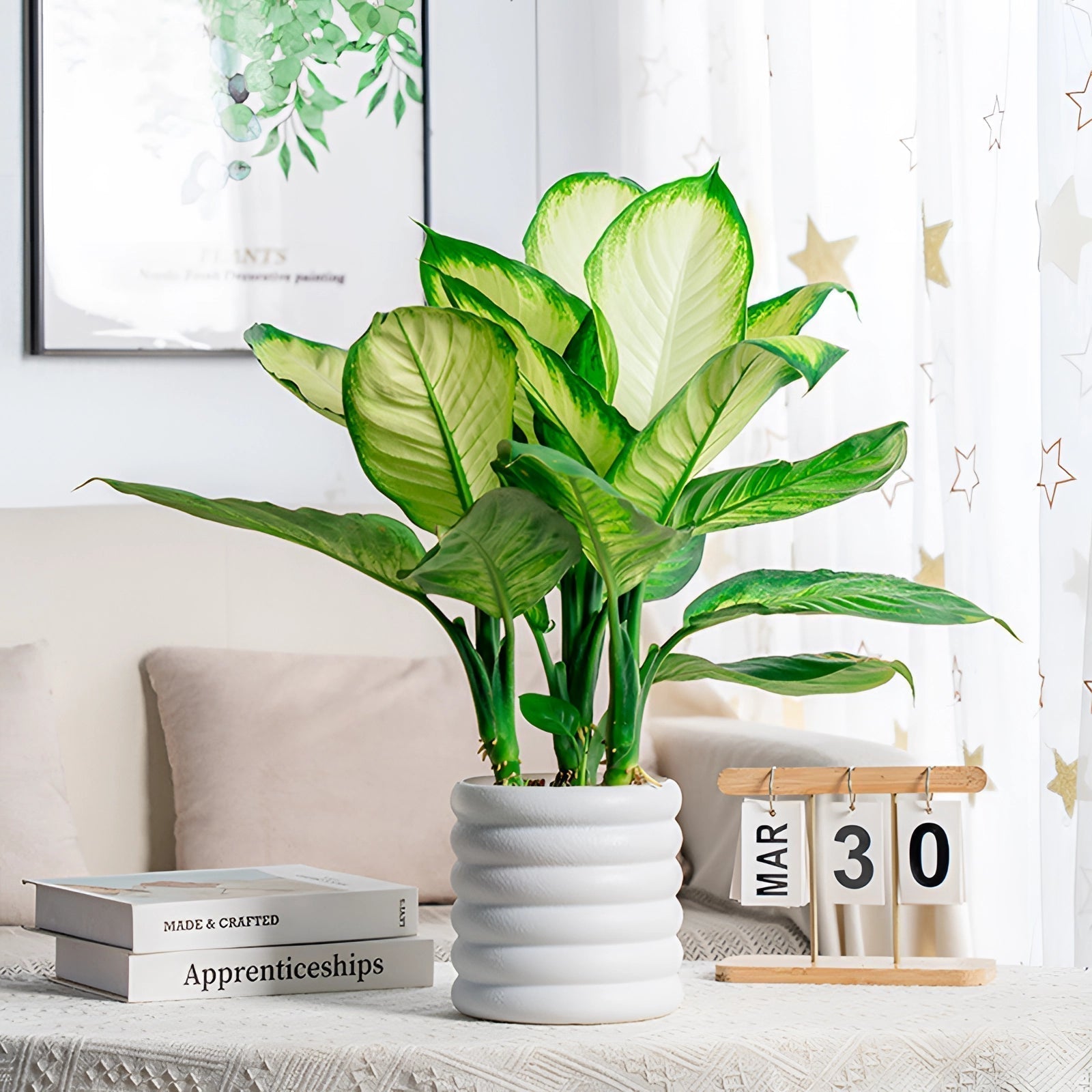 PureLeaf – Stilvolle luftreinigende Zimmerpflanze für eine frische und elegante Atmosphäre