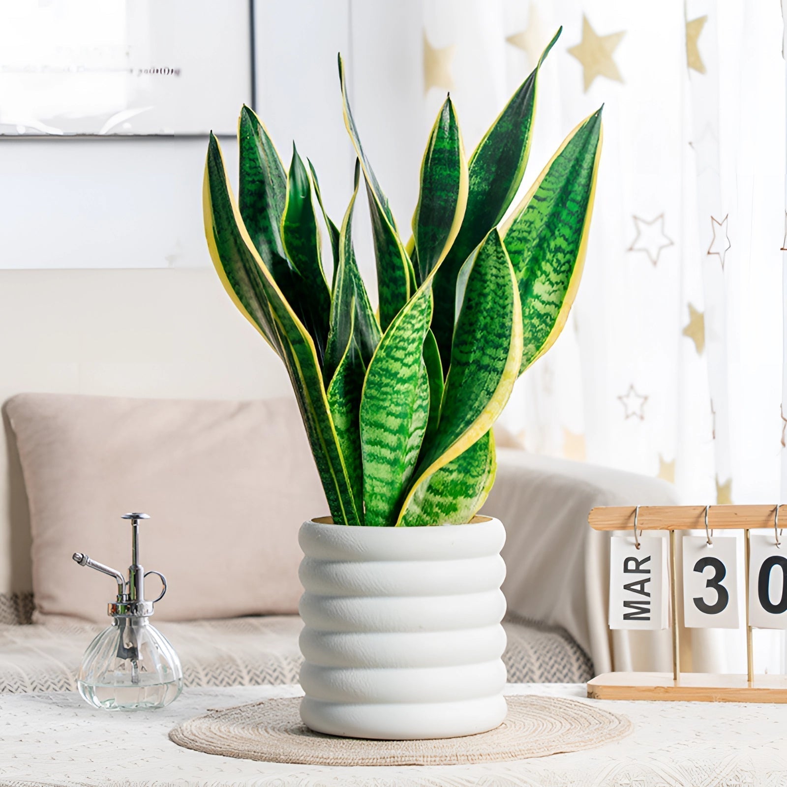 PureLeaf – Stilvolle luftreinigende Zimmerpflanze für eine frische und elegante Atmosphäre