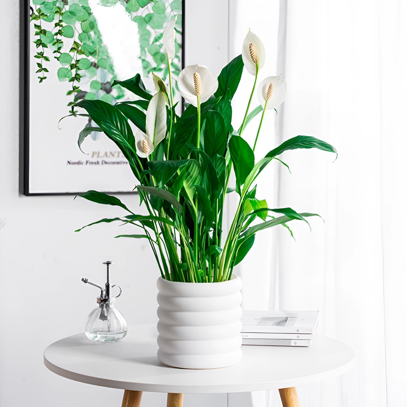 PureLeaf – Stilvolle luftreinigende Zimmerpflanze für eine frische und elegante Atmosphäre
