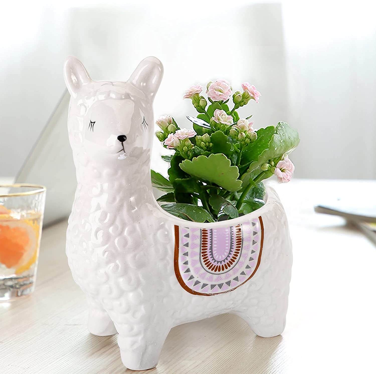 AlpacaSprout - Schöner Alpaka-Sukkulenttopf für dein Zimmer