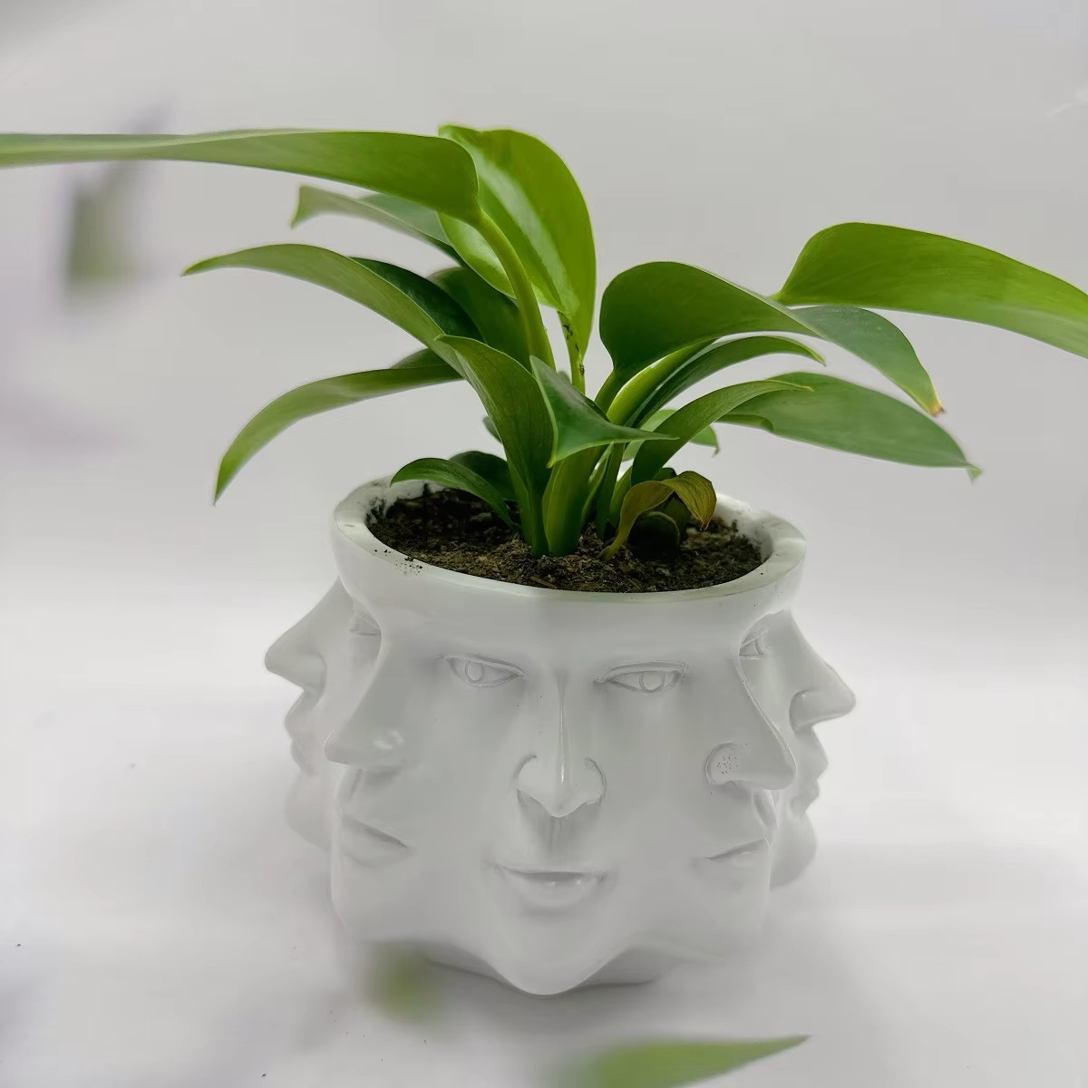 ArtFace 3D Keramische Pflanzenkasse – Modernes Gesichtsdesign Topf