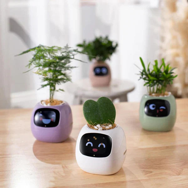 PlantPal Smart Interaktive Pflanzgefäß – KI-gesteuerte Topf mit animiertem Display und Umweltsensoren