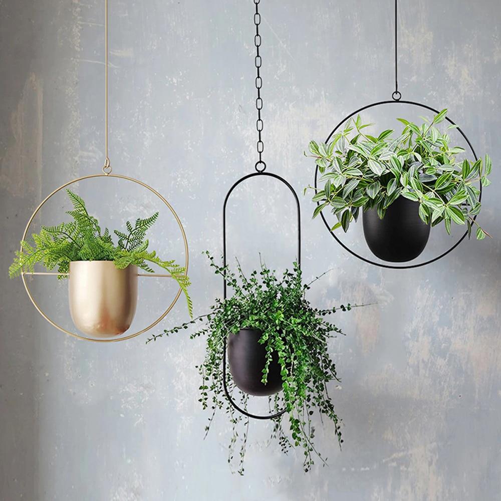 FloraFrame LED botanische Wandkunst