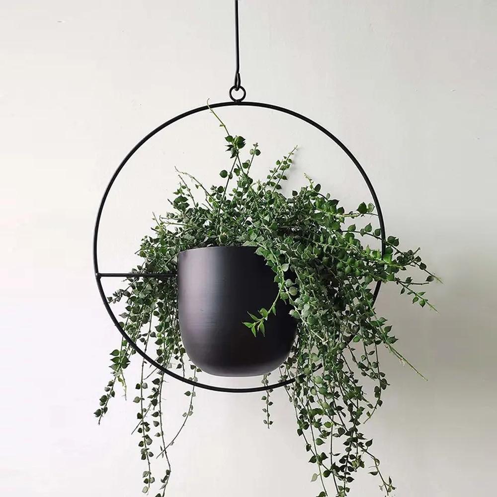 FloraFrame LED botanische Wandkunst